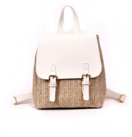 Korean Style Fashion Backpack - Summer Color Block Design